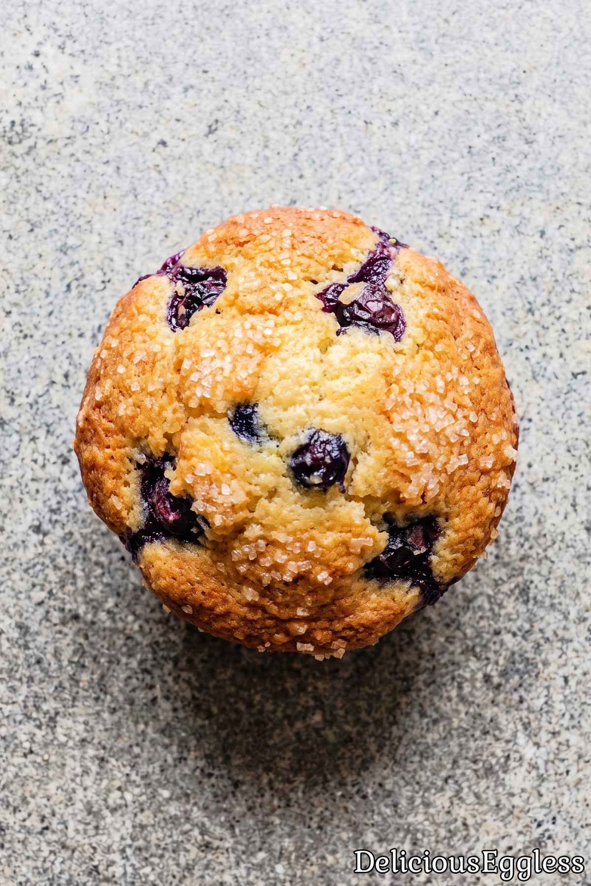 Tall golden eggless blueberry muffin top