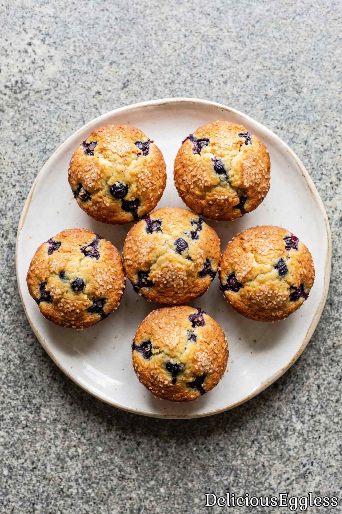 Golden baked egg-free blueberry muffins