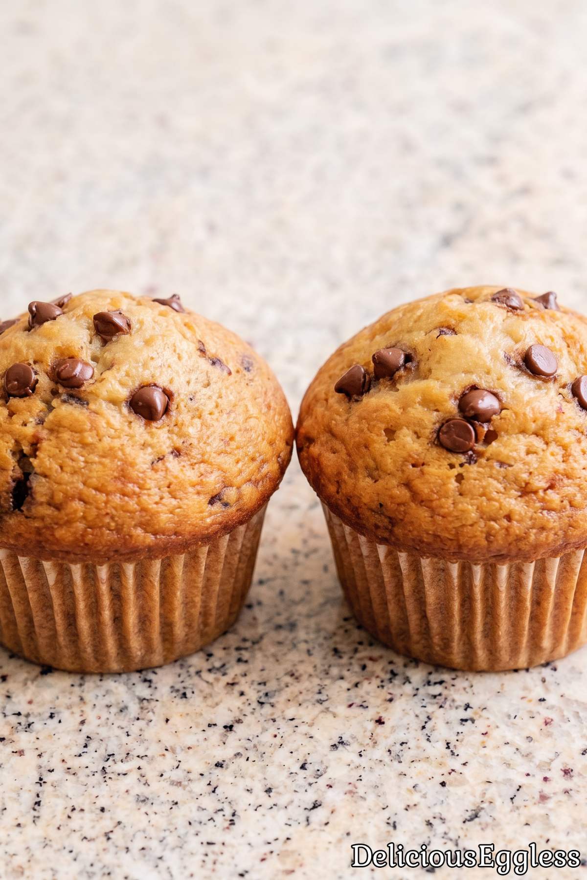 Fresh baked eggless banana muffins