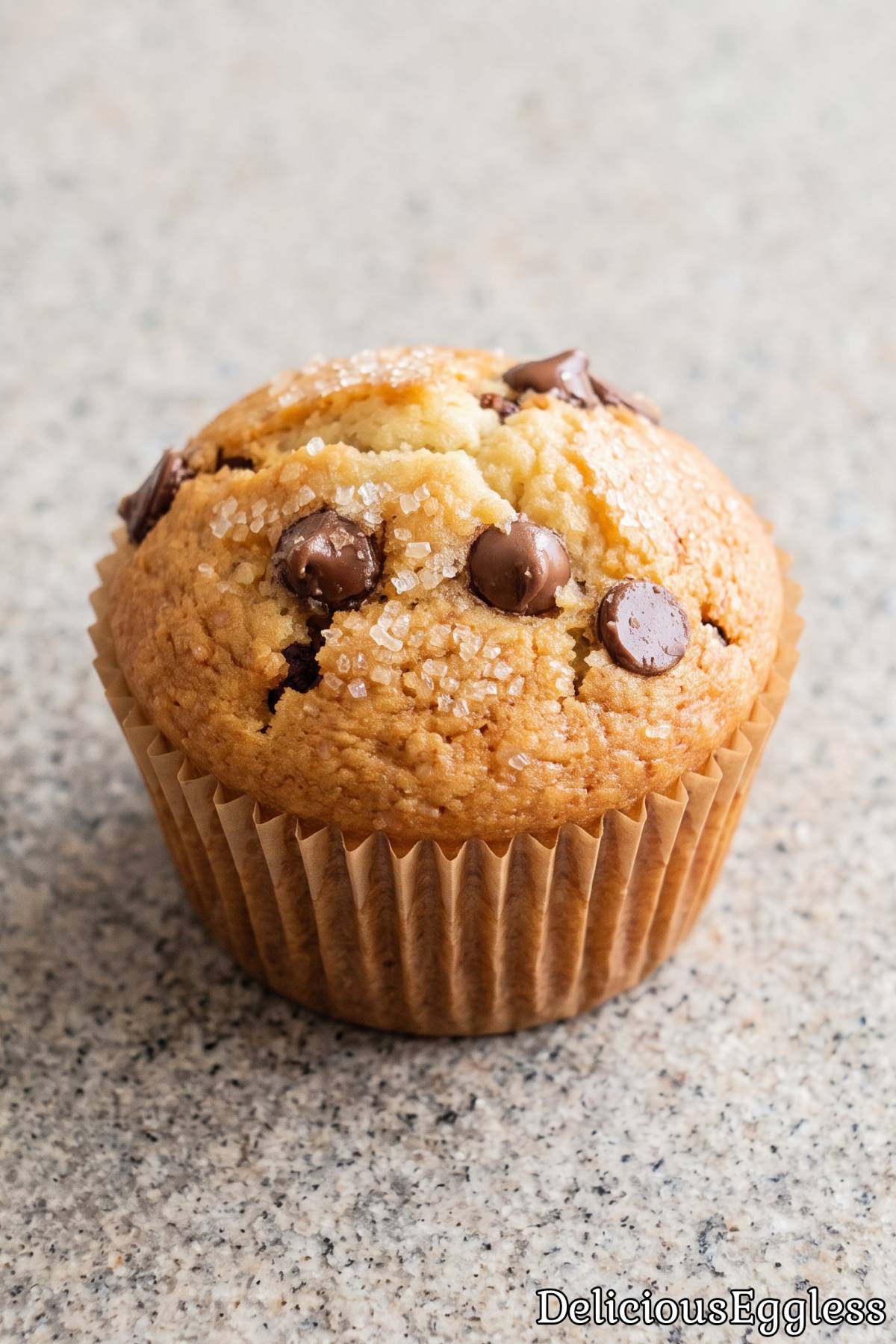 Easy eggless chocolate chip muffins