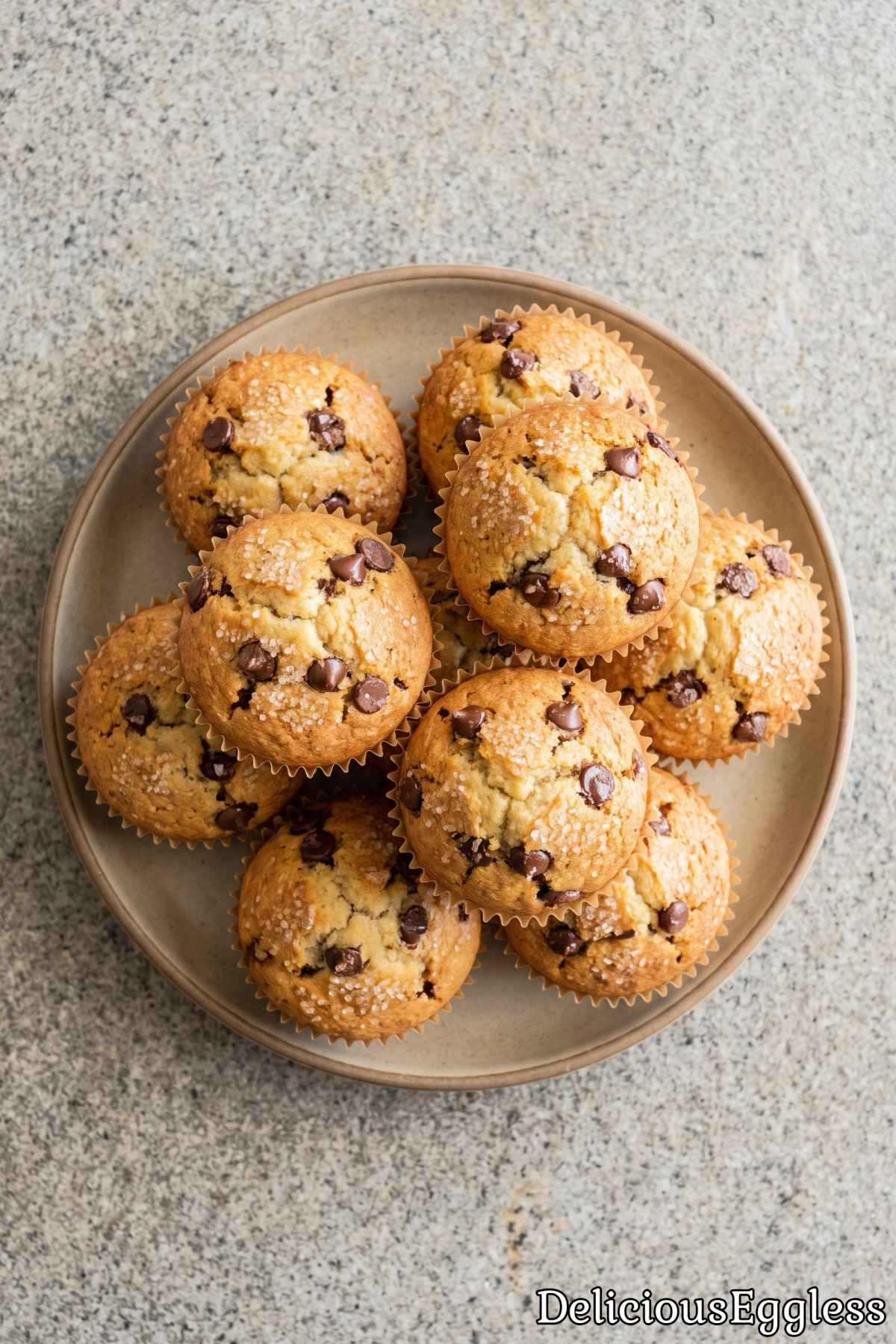 Warm eggless chocolate chip muffin
