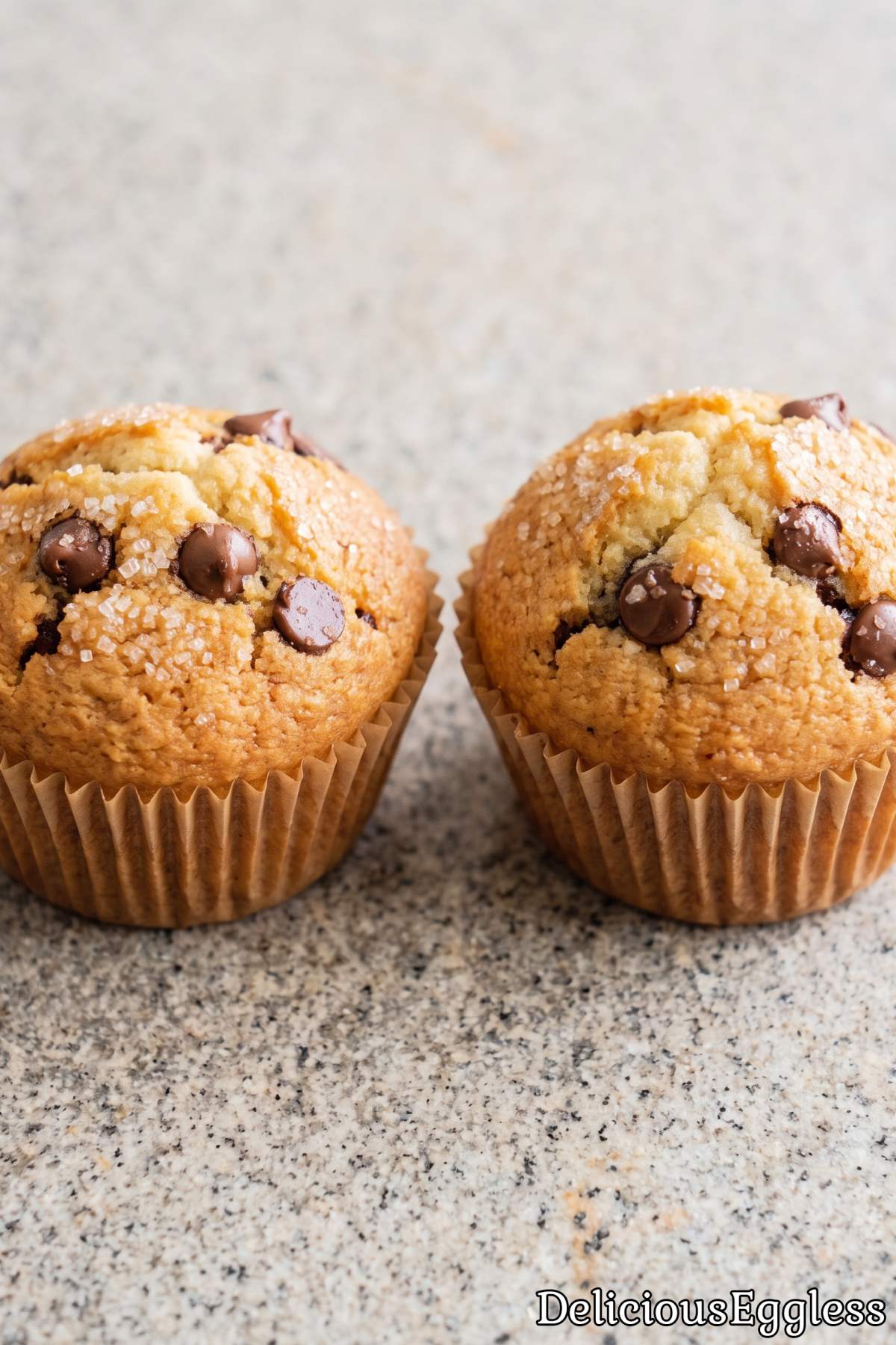 Fluffy eggless chocolate chip muffins