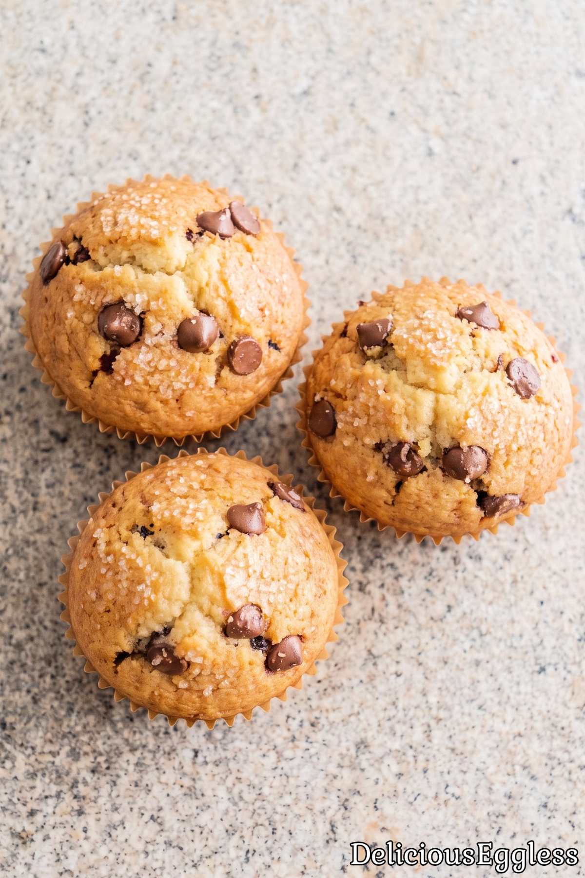 Freshly baked eggless chocolate chip muffin