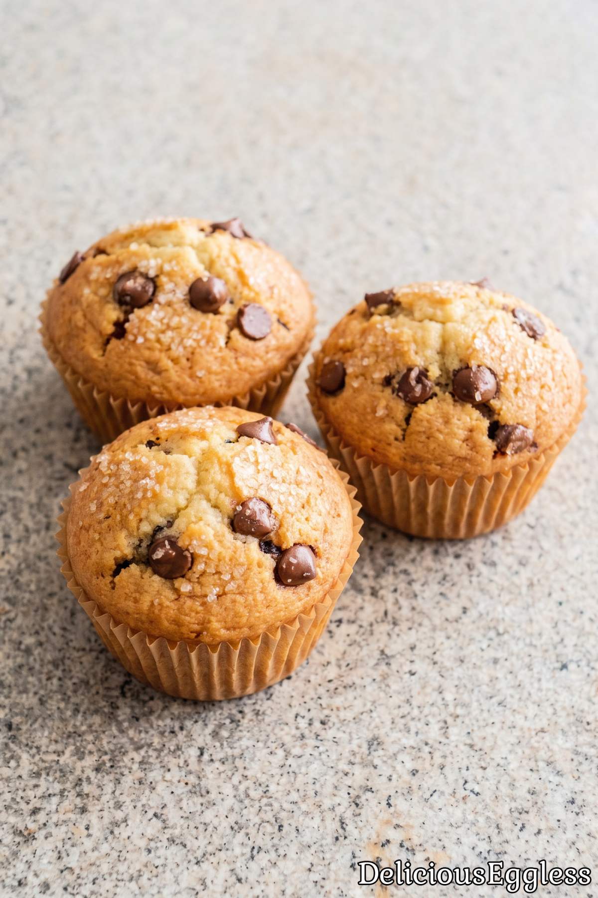 Fresh eggless chocolate chip muffins