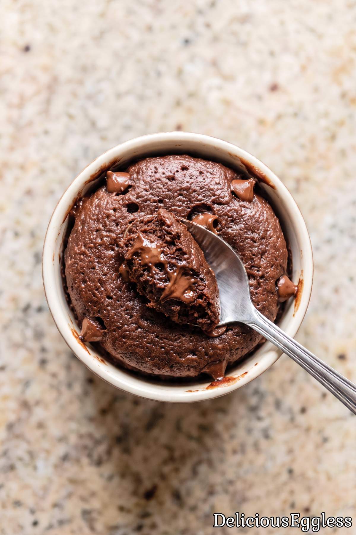 Fresh warm chocolate mug cake no eggs