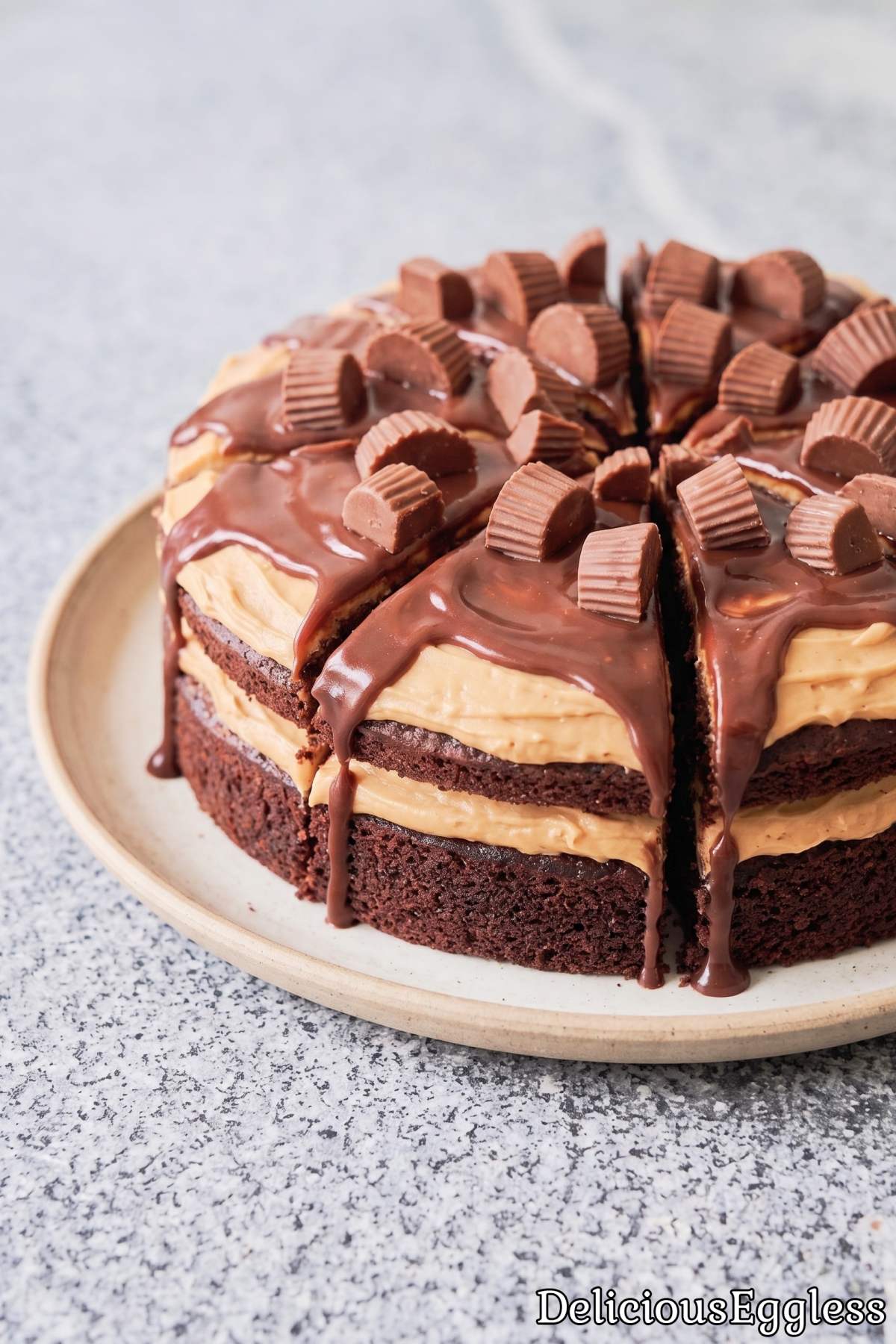 Eggless chocolate peanut butter cake slice