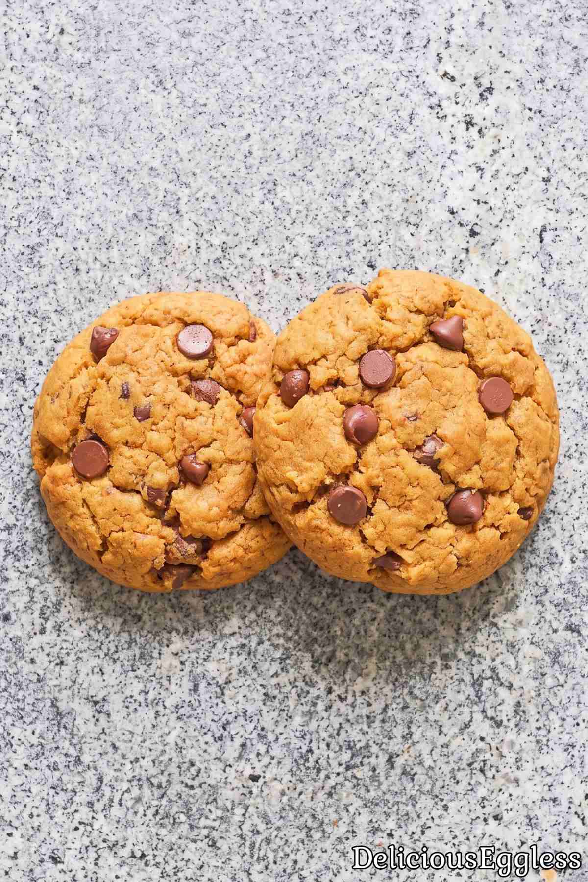 Warm spiced pumpkin cookies with chocolate