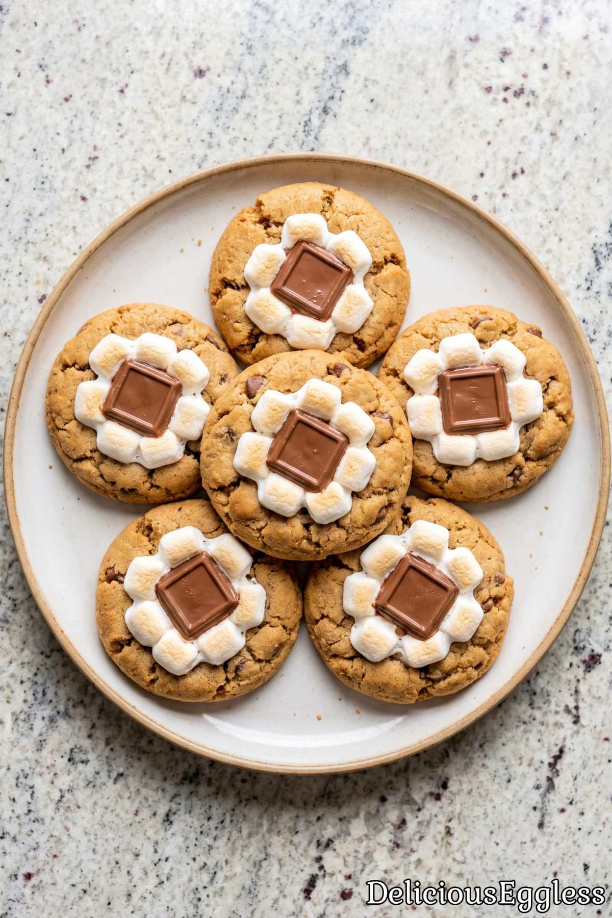 Warm egg-free s'mores cookies with chocolate