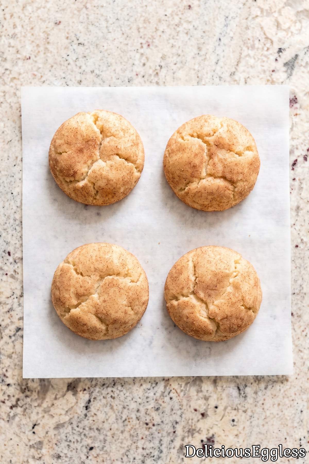 Chewy cinnamon sugar eggless snickerdoodles.
