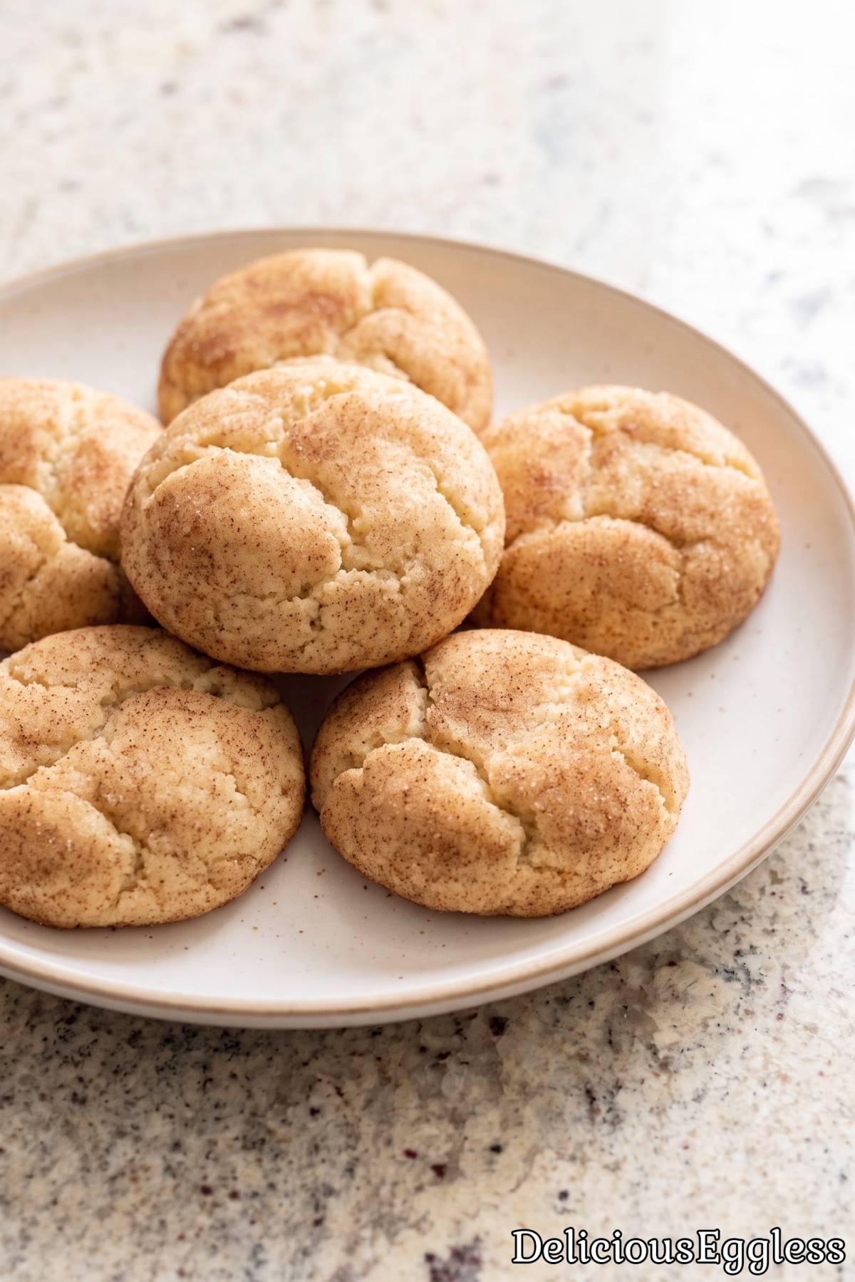 Classic egg free snickerdoodle cookies.