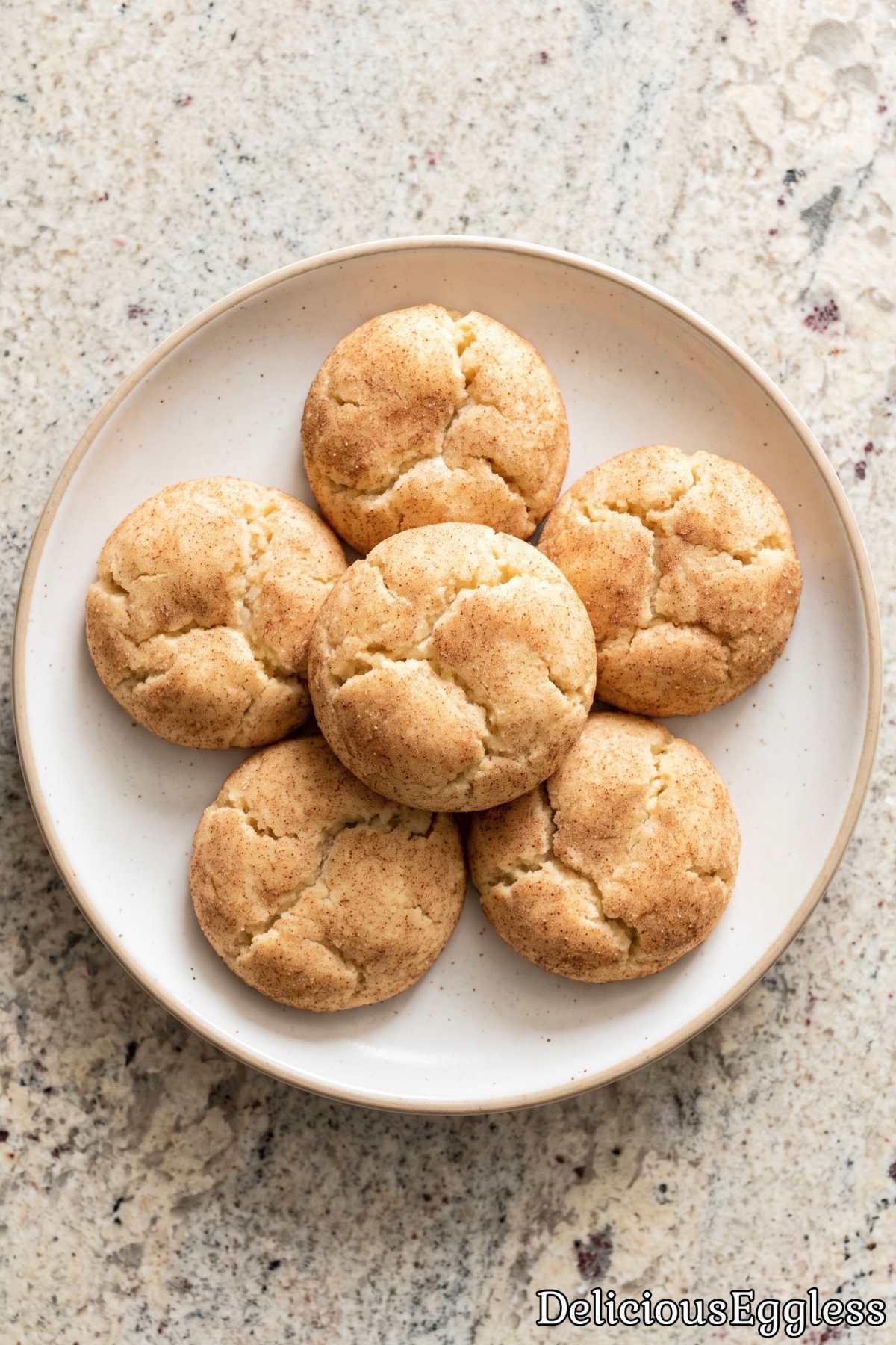 Delicious baked eggless snickerdoodle cookies.